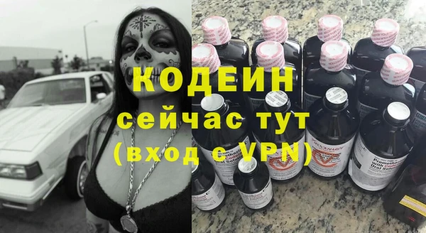 ECSTASY Алзамай