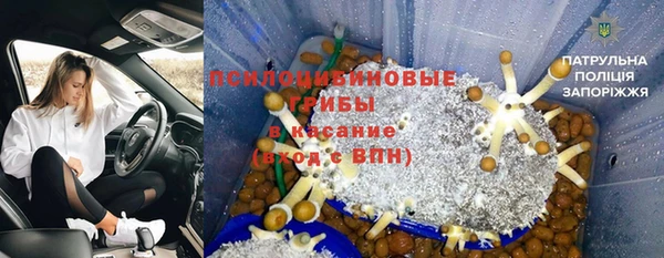 ECSTASY Алзамай