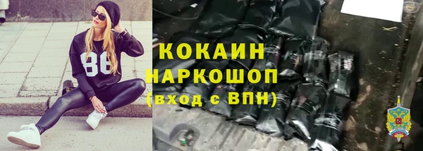 Альфа ПВП Пересвет