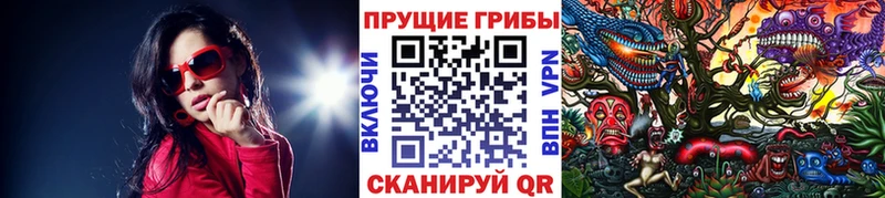 Галлюциногенные грибы Magic Shrooms  что такое   Сосновка 