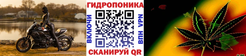 Каннабис план  Сосновка 